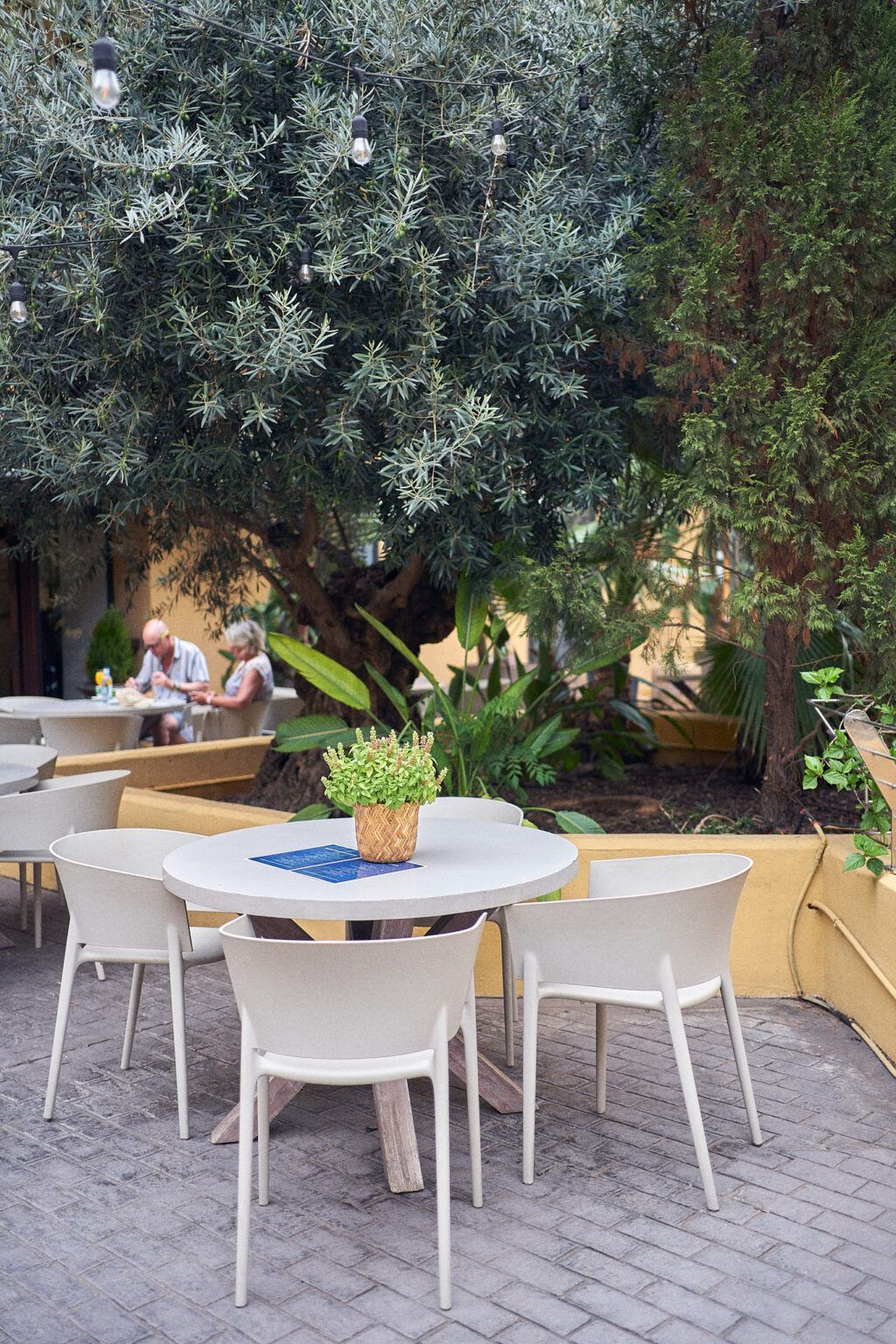 Terraza interior de Redondo en Boca con un olivo, mesas blancas y comensales a la sombra